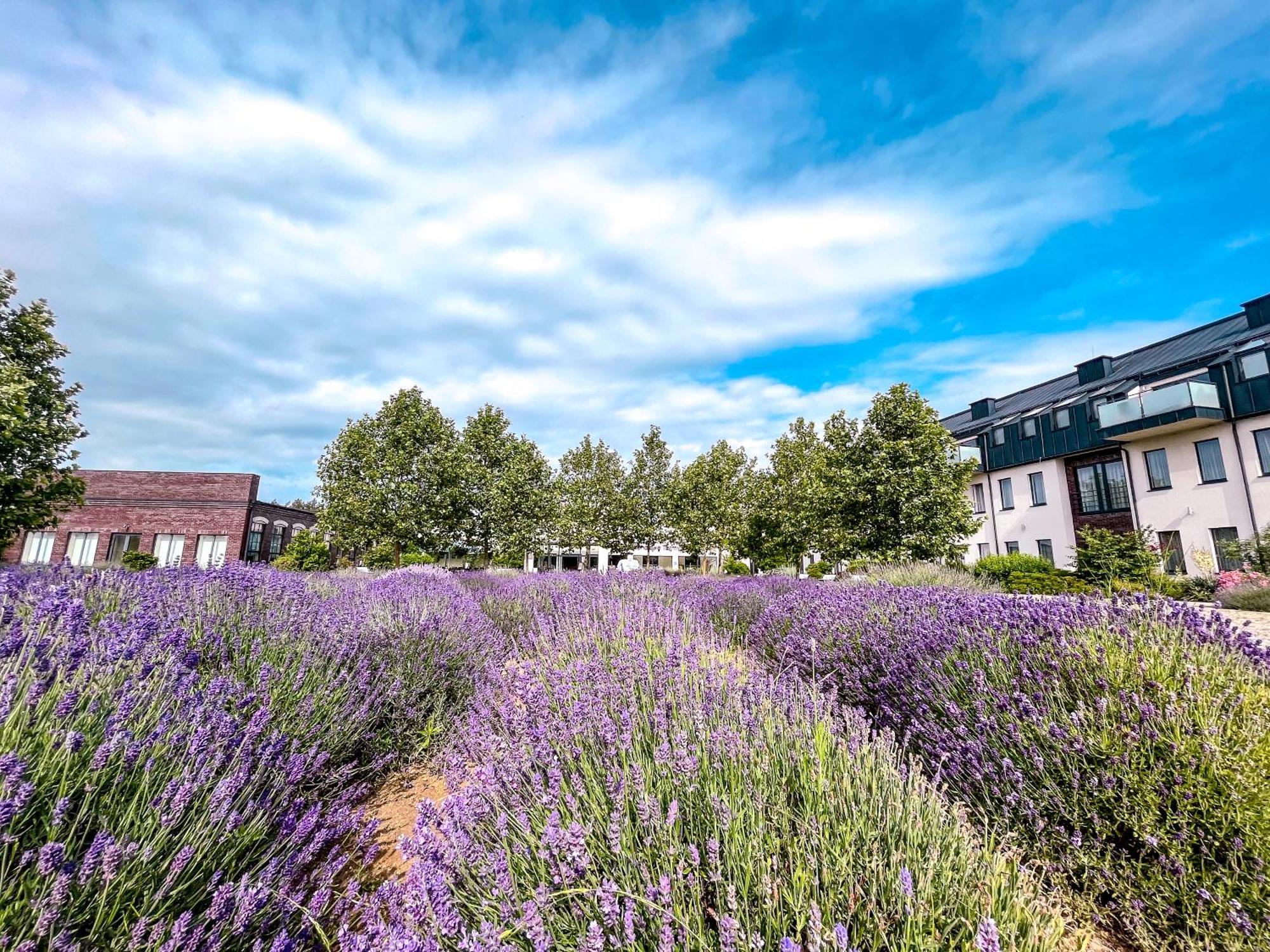 Lawendowe Termy Hotel Uniejow Exterior foto